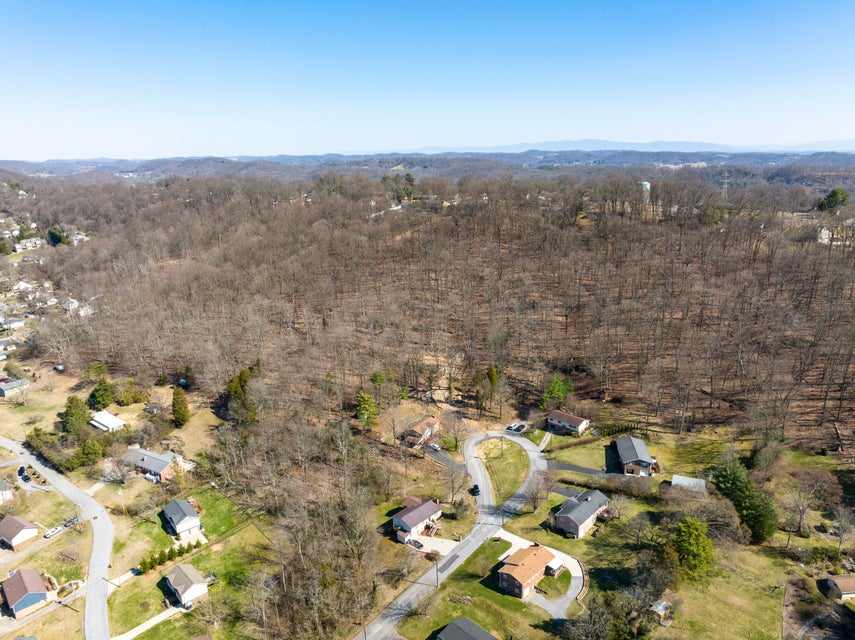 Photo #10: 3848 Telstar Drive