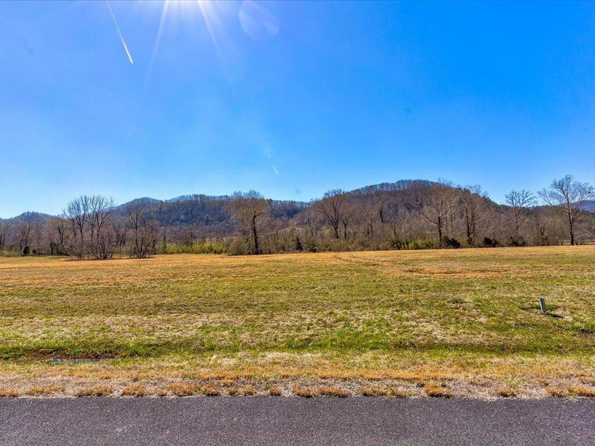 Photo #6: Lot 12 River Rapids Way