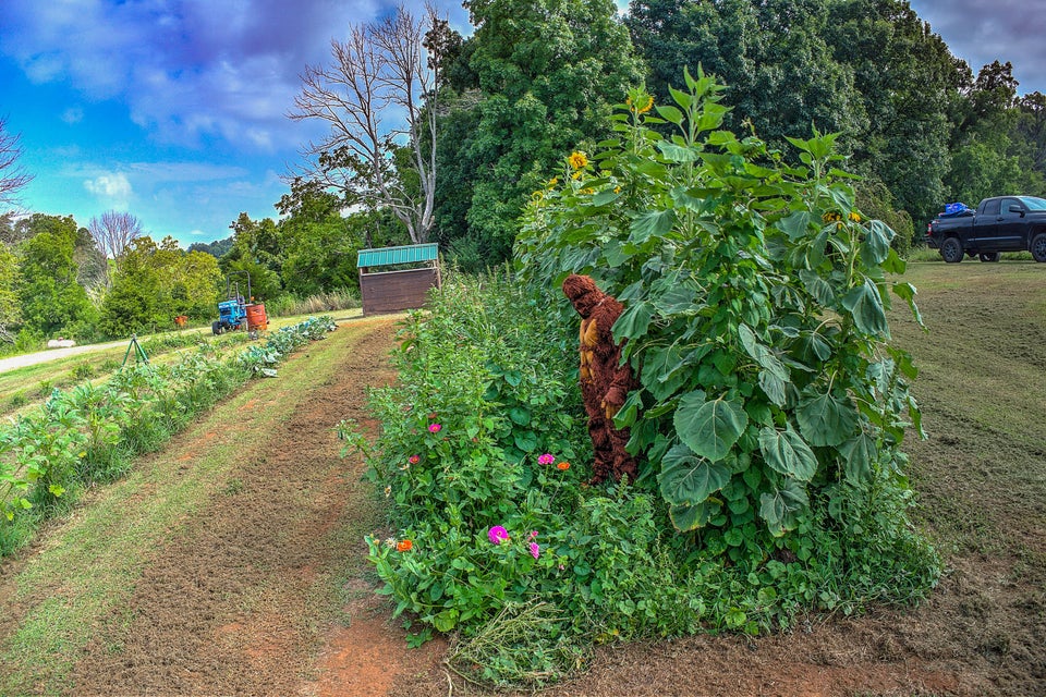 Photo #20: 896 Rollins Chapel Road