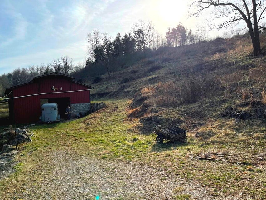 Photo #6: 0 Rasnick Hollow Road
