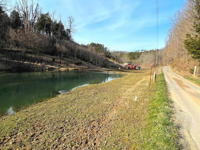 Photo #16: 0 Rasnick Hollow Road