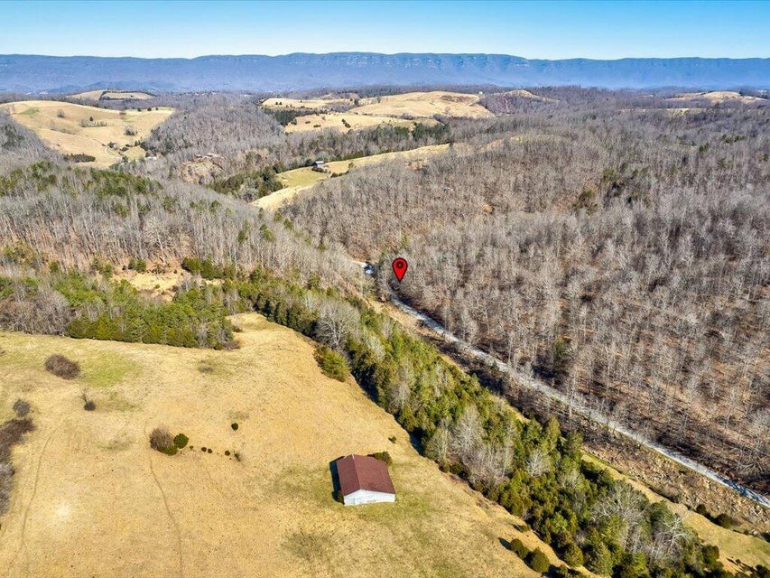 Photo #3: 0 Poplar Grove Road