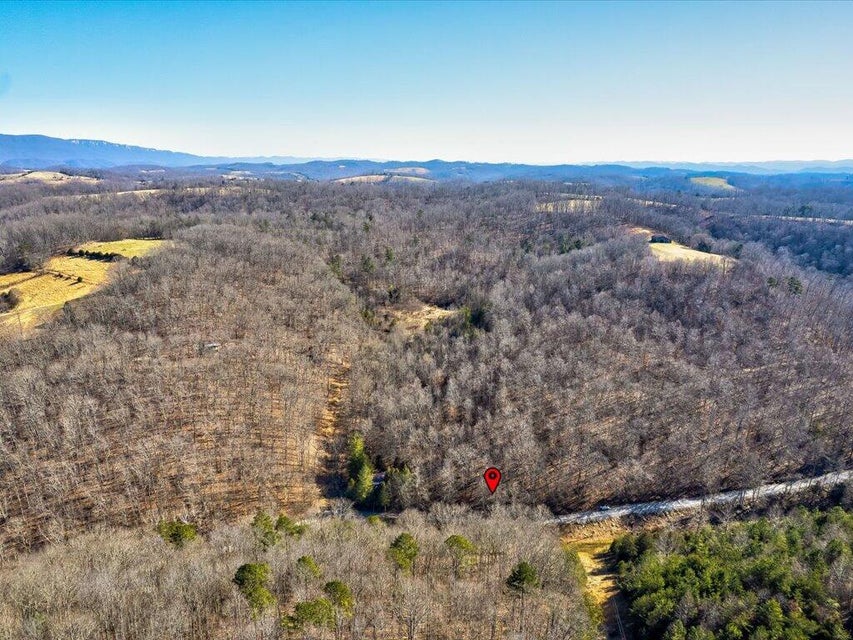 Photo #12: 0 Poplar Grove Road