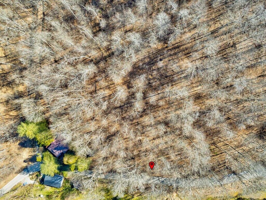 Photo #15: 0 Poplar Grove Road