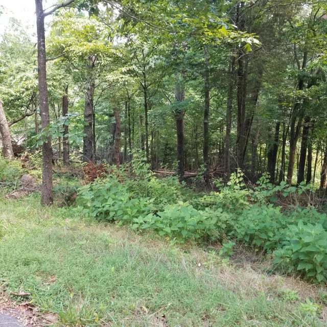 Photo #3: 1917 Chelaque Way