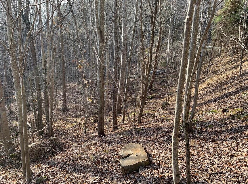 Photo #4: 995 Whistle Valley Road