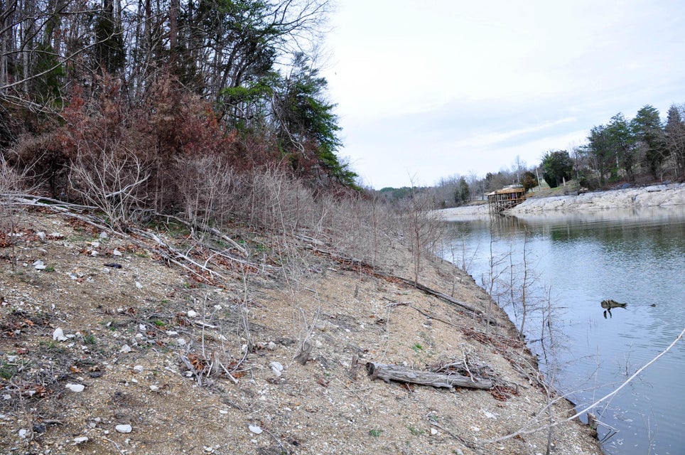 Photo #12: 121 Pointe Drive