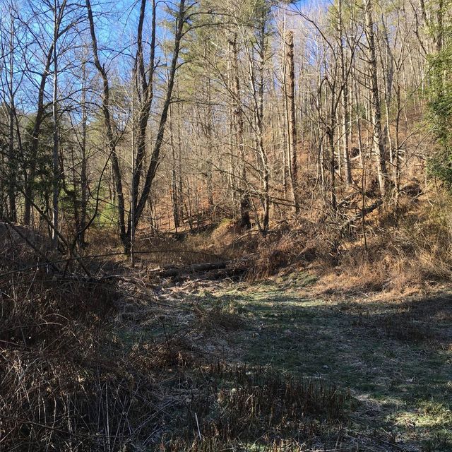 Photo #9: Tbd Banjo Ridge Rd