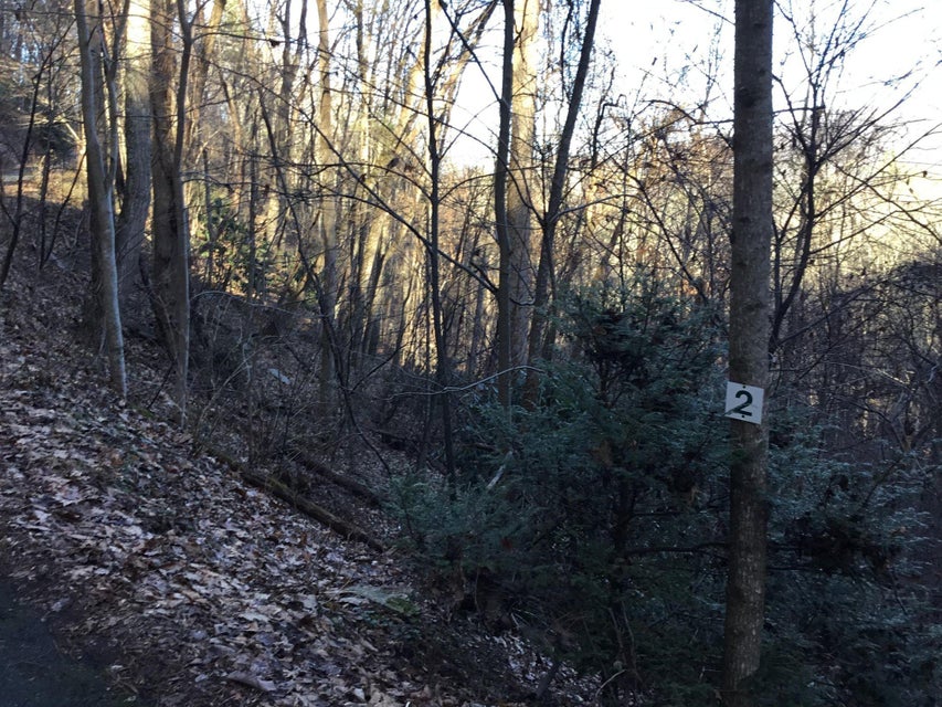 Photo #15: Tbd Banjo Ridge Rd