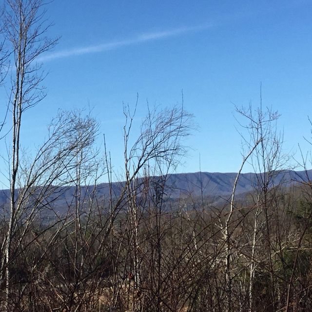 Photo #23: Tbd Banjo Ridge Rd