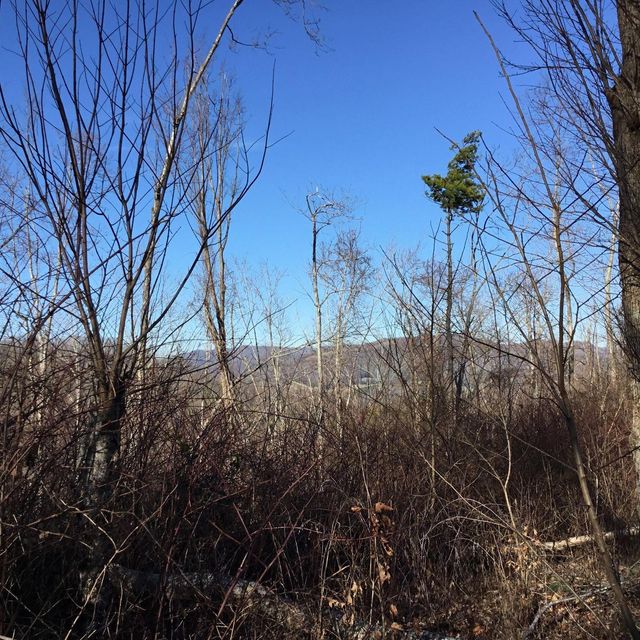 Photo #24: Tbd Banjo Ridge Rd