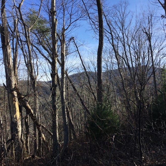 Photo #25: Tbd Banjo Ridge Rd