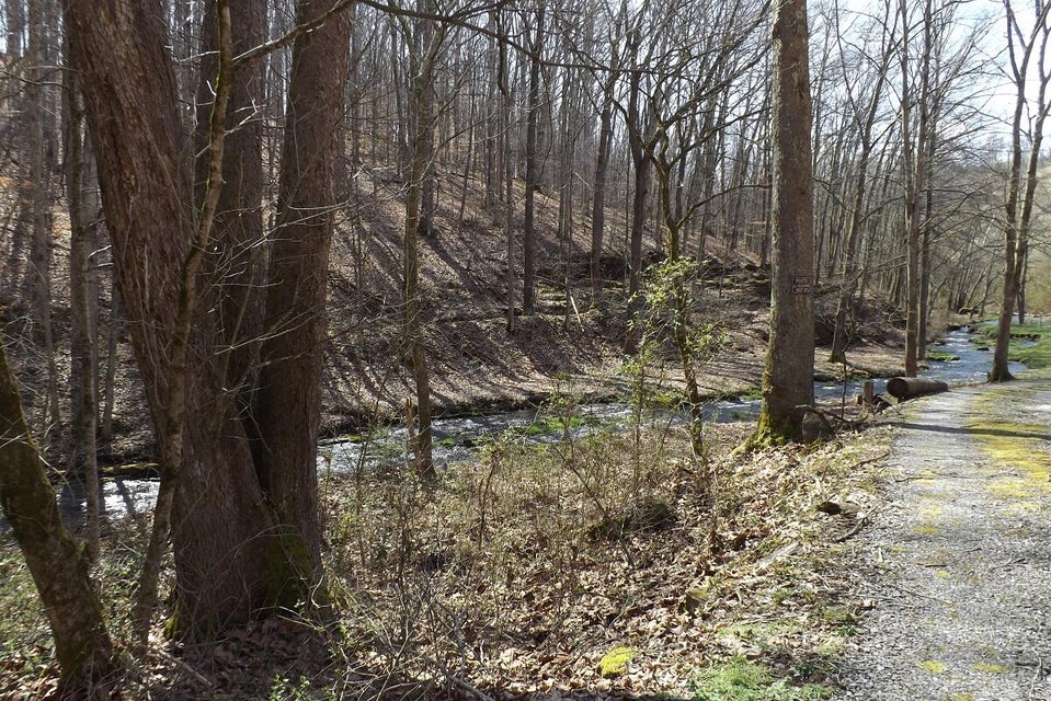 Photo #4: 01 Nickelsville Rd