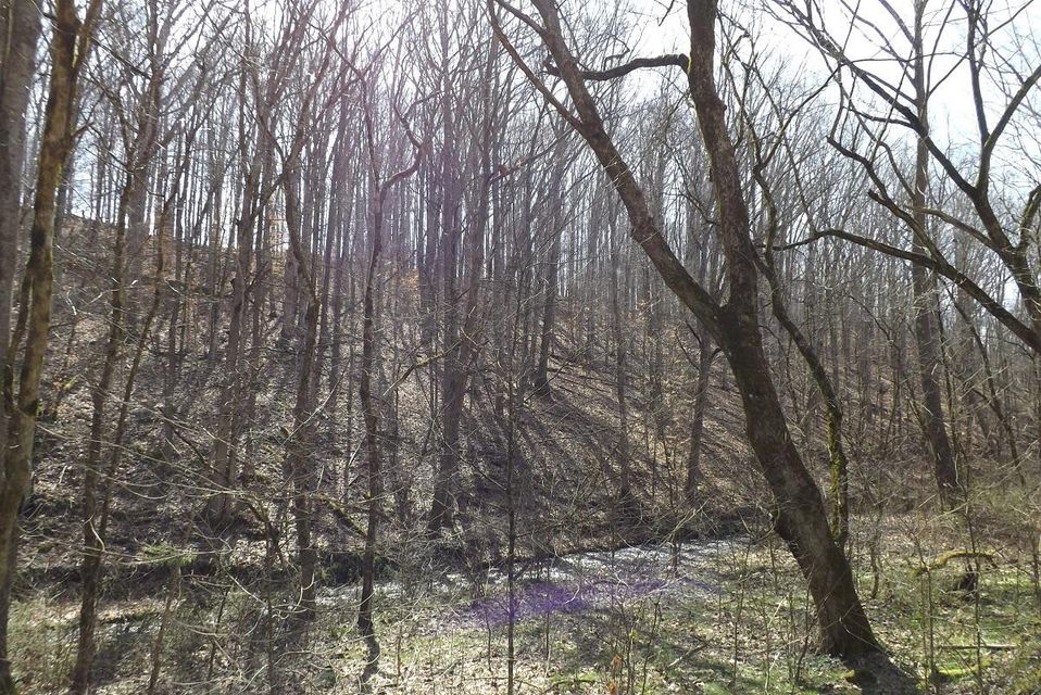 Photo #5: 01 Nickelsville Rd