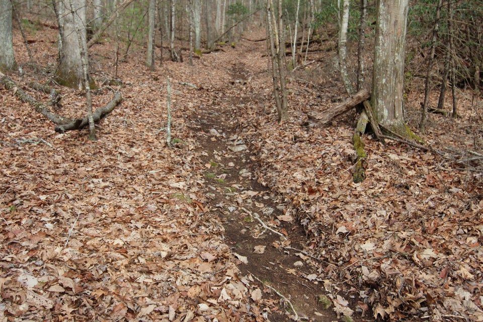 Photo #8: 362 Mohawk Drive