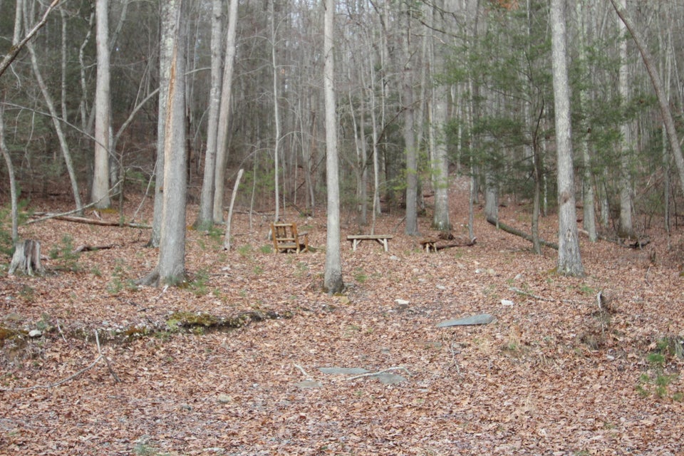 Photo #13: 362 Mohawk Drive