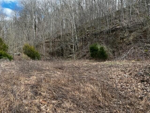 Photo #4: 3433 Stone East Drive