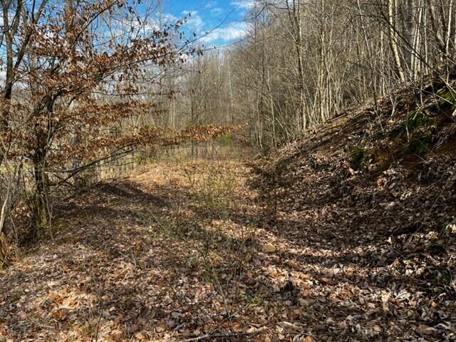 Photo #5: 3433 Stone East Drive