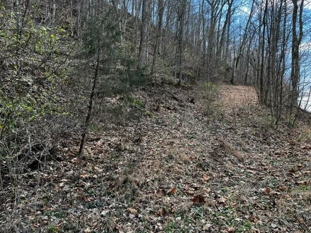 Photo #7: 3433 Stone East Drive