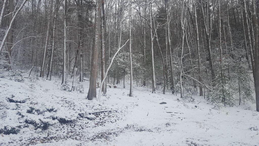 Photo #15: 362 Mohawk Drive