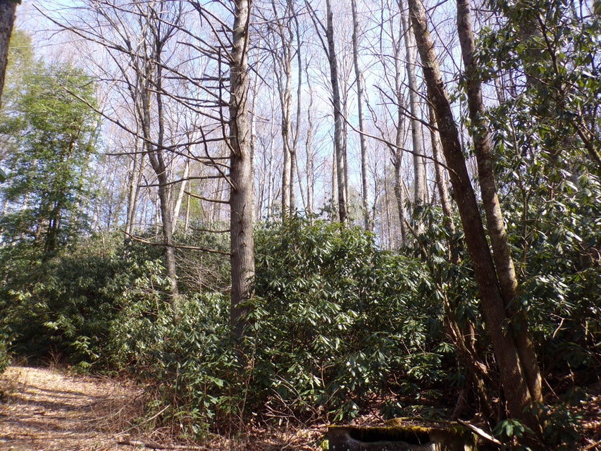 Photo #9: Tbd Highway 133