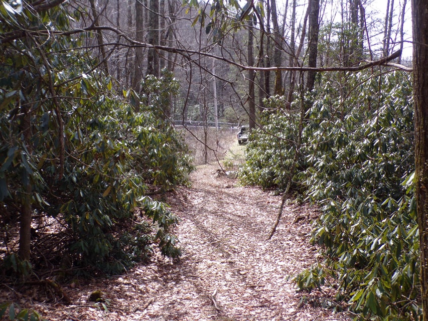 Photo #11: Tbd Highway 133