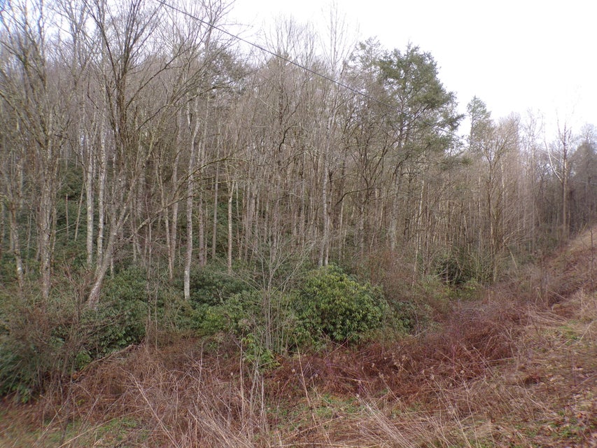 Photo #14: Tbd Highway 133