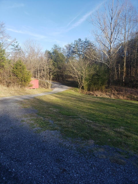 Photo #32: 256 Buzzard Roost Road