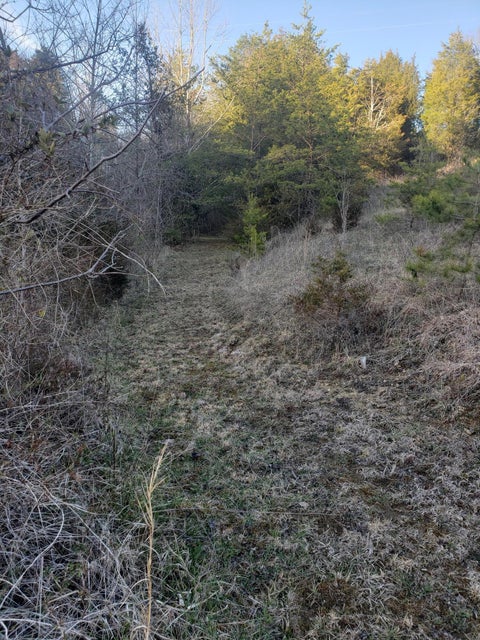 Photo #33: 256 Buzzard Roost Road