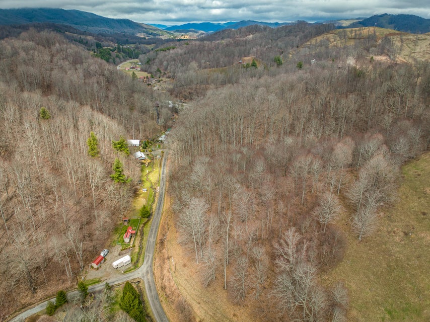 Photo #5: Tbd Highway 421