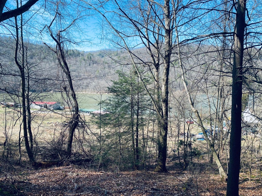 Photo #2: 0 Lakeview Drive