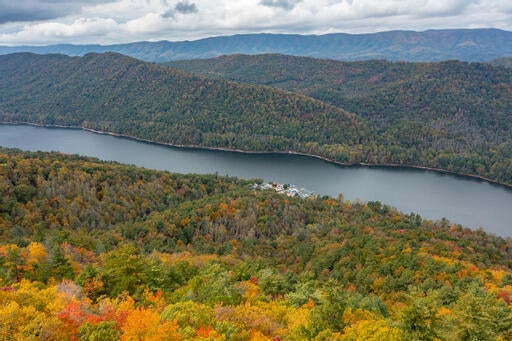 Photo #4: 0 Lakeview Drive