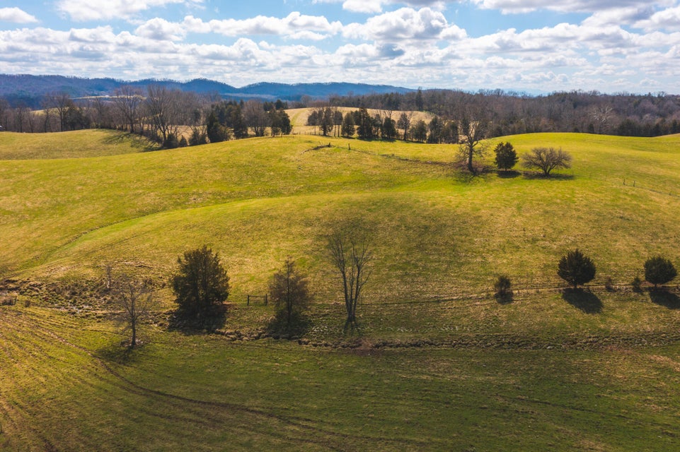 Photo #3: 8800 Andrew Johnson Highway
