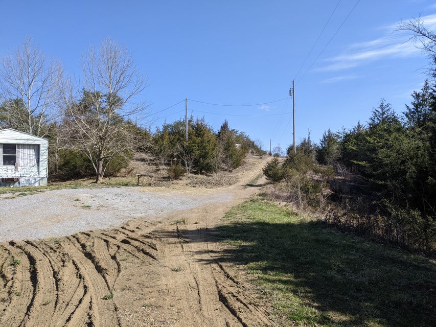 Photo #4: 1235 Blue Springs Road