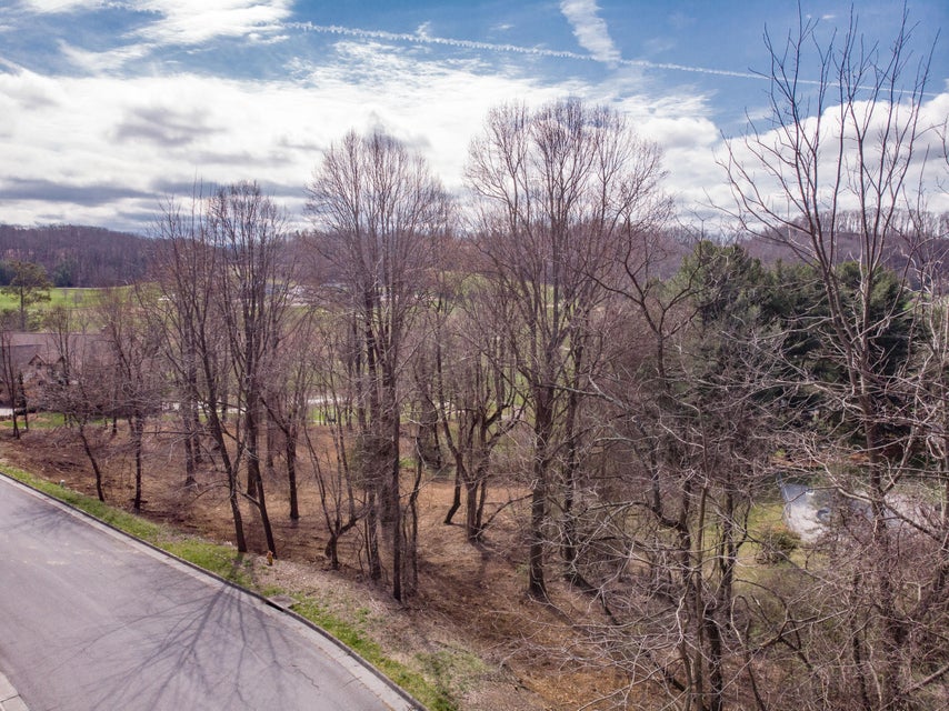 Photo #18: Tbd Glenview Drive