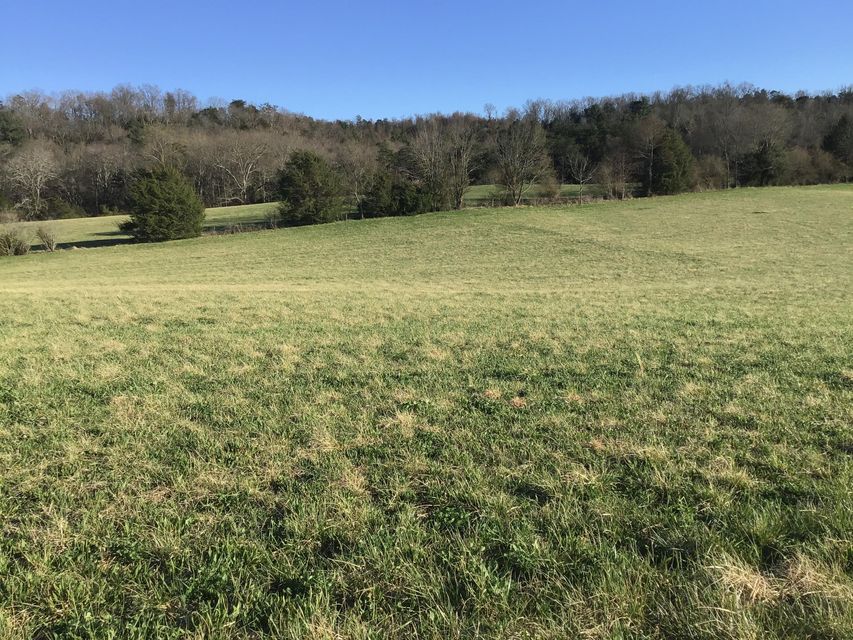 Photo #10: 15.03 Ac Homeplace Lane