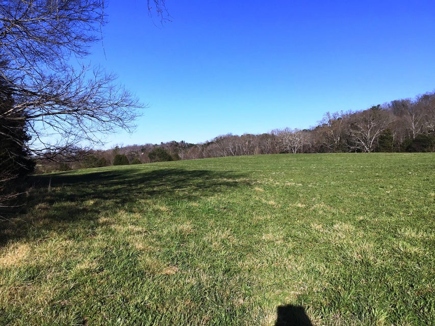 Photo #17: 15.03 Ac Homeplace Lane
