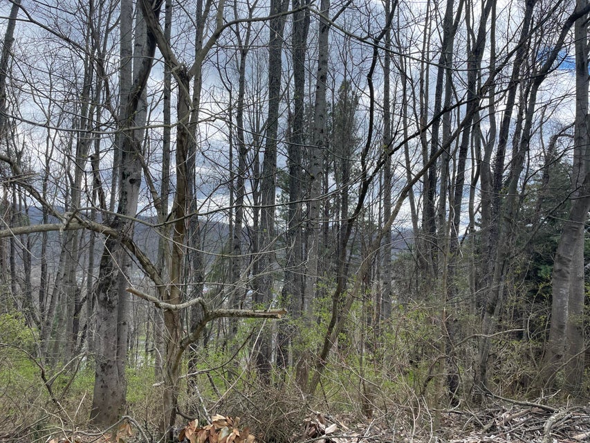 Photo #7: Tbd Horton Ridge Road
