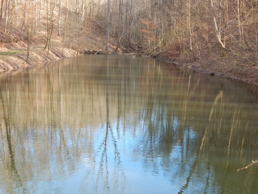 Photo #59: 704 River Road Road