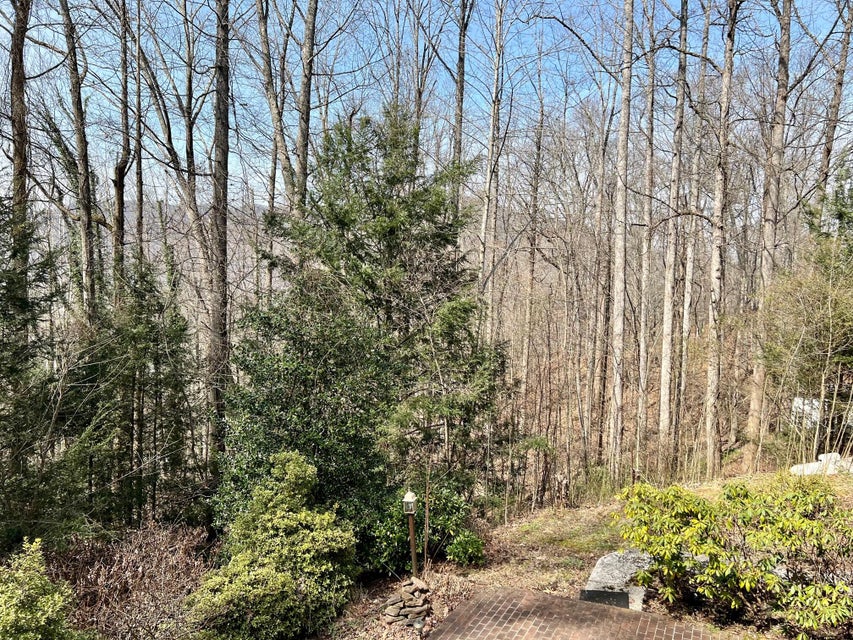 Photo #46: 2 Ridgepoint Place