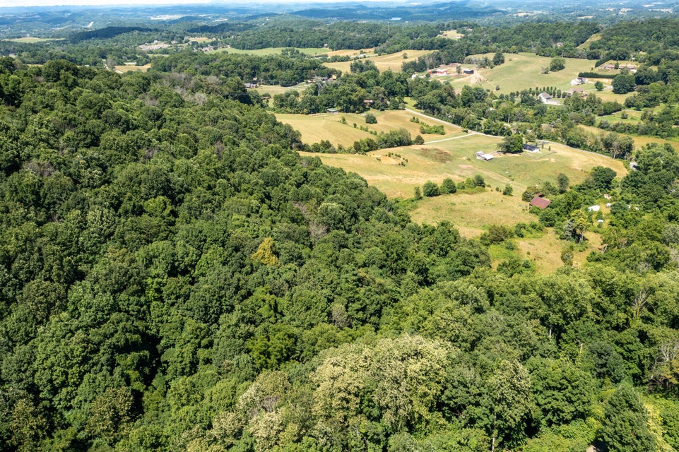 Photo #3: 00 Ridgeheights Drive