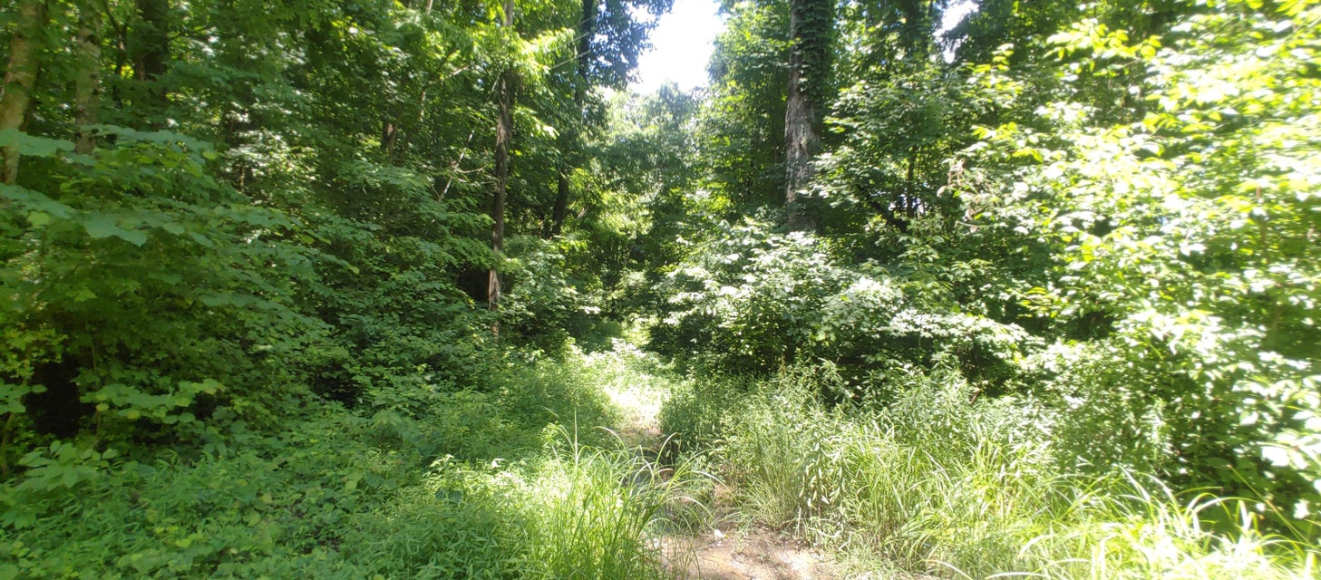 Photo #26: 00 Ridgeheights Drive