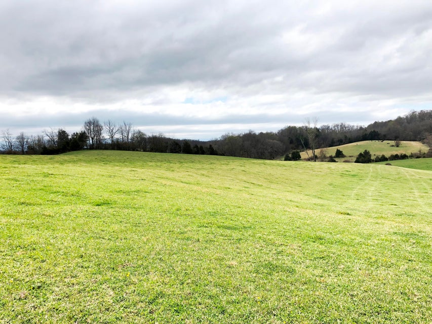 Photo #6: Tbd Blackley Creek Road