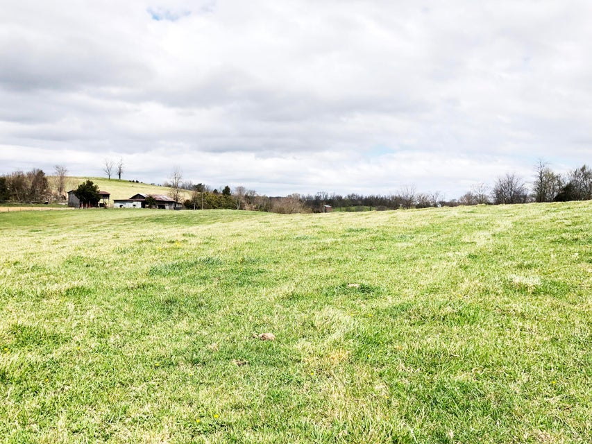 Photo #7: Tbd Blackley Creek Road