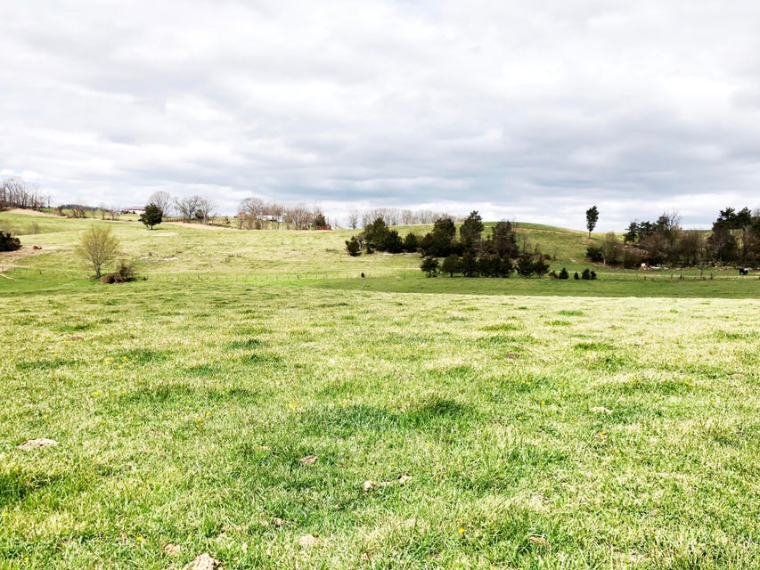 Photo #8: Tbd Blackley Creek Road