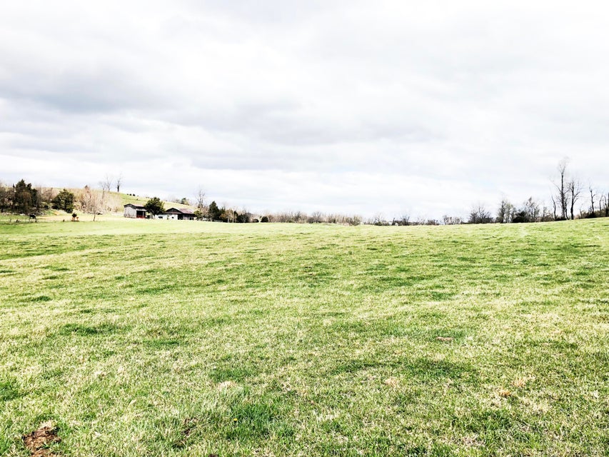 Photo #10: Tbd Blackley Creek Road
