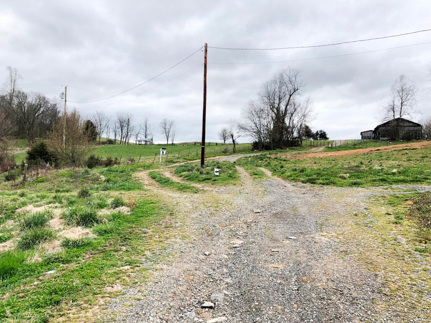 Photo #19: Tbd Blackley Creek Road