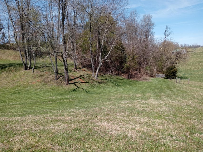 Photo #16: 848 Rangewood Road