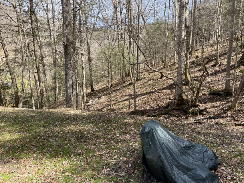 Photo #20: 14526 Dry Fork Road