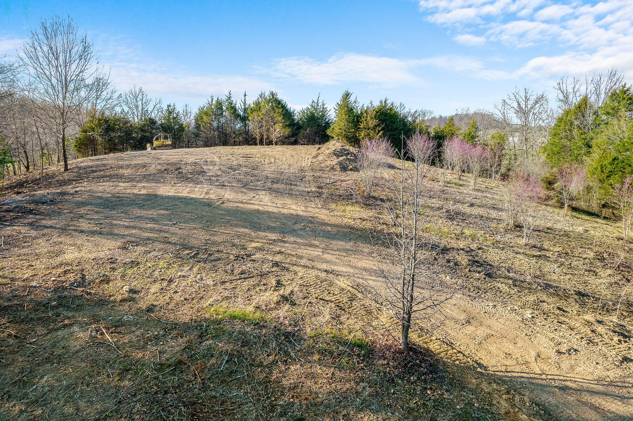 Photo #17: Lot 1 Baileyton Road